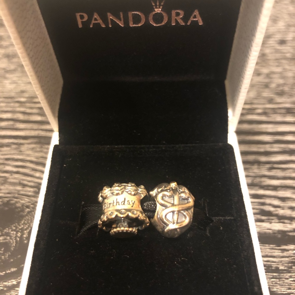 Pandora Charms